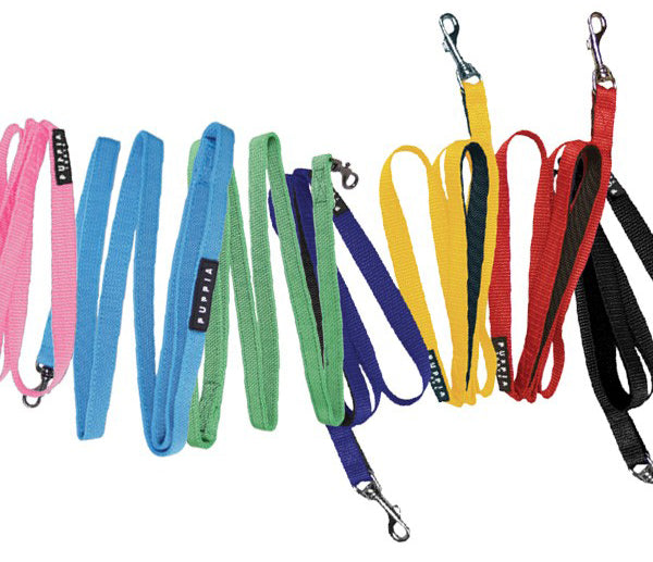Nylon Hundegeschirr & Leine Set – Westengeschirr, Halsband & 1,5m Leine Für Kleine/mittlere Hunde