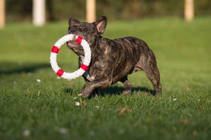 Rita Rettungsring Seilspielzeug - Hund Rot 18x18x3 cm