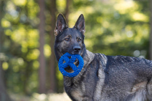 Paulchen Peace Seilspielzeug - Hund Blau 17x17x3 cm