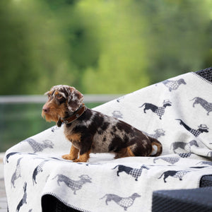 Kuscheldecke / Hundedecke TECKEL mit Dackelmotiv