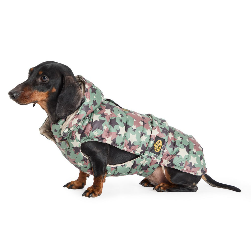 Dackelmantel CamoStern – Stylischer Steppmantel für Teckel