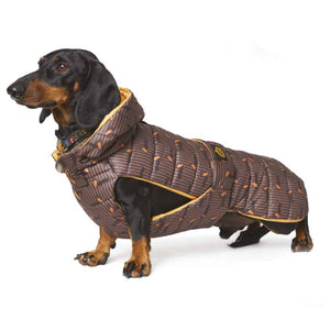 Steppmantel, Wintermantel, Regenmantel für Dackel, Teckel, Dachshund