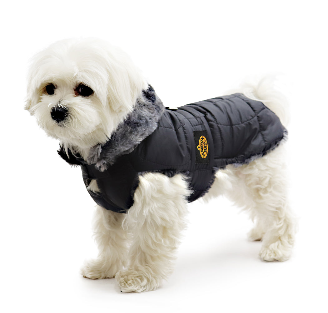 dog gear mantel Hundewintermantel / Hunderegenmantel Schwarz mit Webpelz