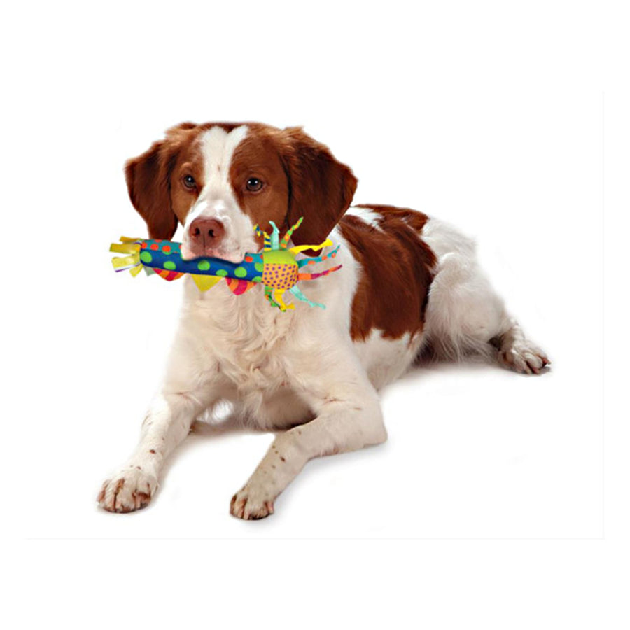 Teething Stick – Eiskalte Spielidee für Hunde