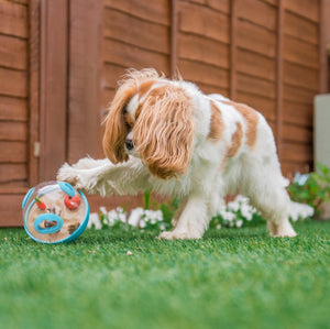 P.L.A.Y. Wobble Ball - Intelligenzspielzeug für Hunde