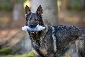 Nina Nilpferd Seilspielzeug - Hund Grau 23x15x8 cm
