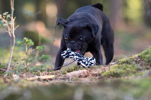 Bonnie Bone Seilspielzeug - Hund Schwarz und Weiß