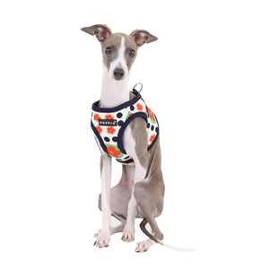 Puppia - Blossom Jacket, Westengeschirr, Orange