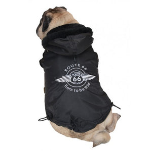 Hundemantel Route 66 Winteredition für Mops/Bulldogge - Schwarz