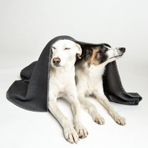 Cloud7 - Hundedecke Soft Fleece Dark Grey