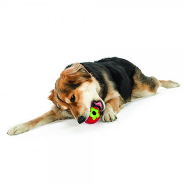 Planet Dog Orbee-Tuff Erdbeere - Kauspielzeug für Hunde