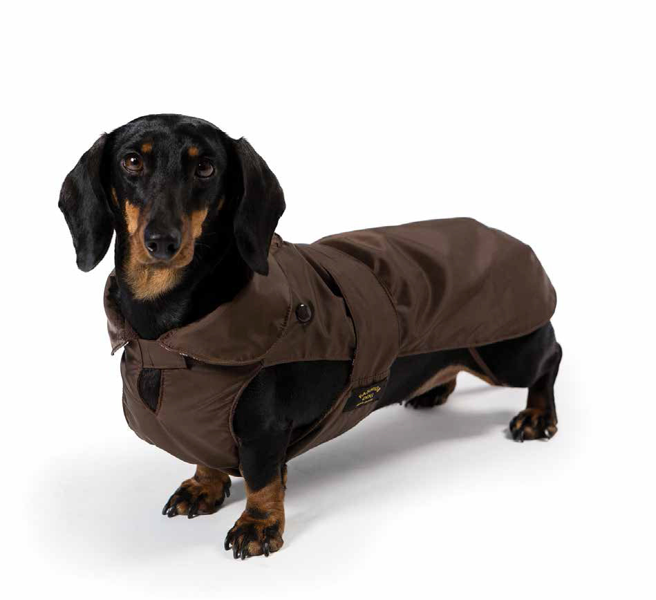 Generisch Hunde Wintermantel Wasserdicht - Für Dackel & Kleine Hunde - Wärmender Regenmantel Black XS