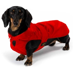 Regenmantel Dackel / Wintermantel Dackel / Hundemantel Dackel