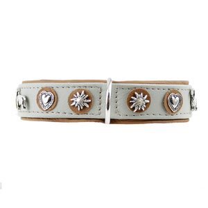 Hundehalsband - Lederhalsband Dackel / Teckel versch. Farben