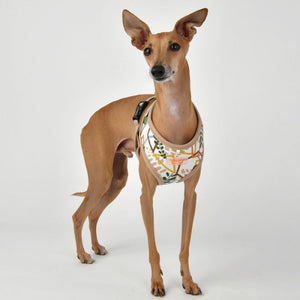 Puppia Botanical Harness A - Softgeschirr Gemustert Beige