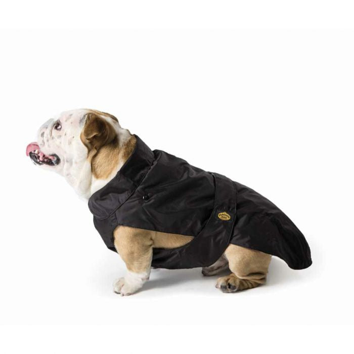 Regenmantel Englische Bulldogge / Wintermantel English Bulldog