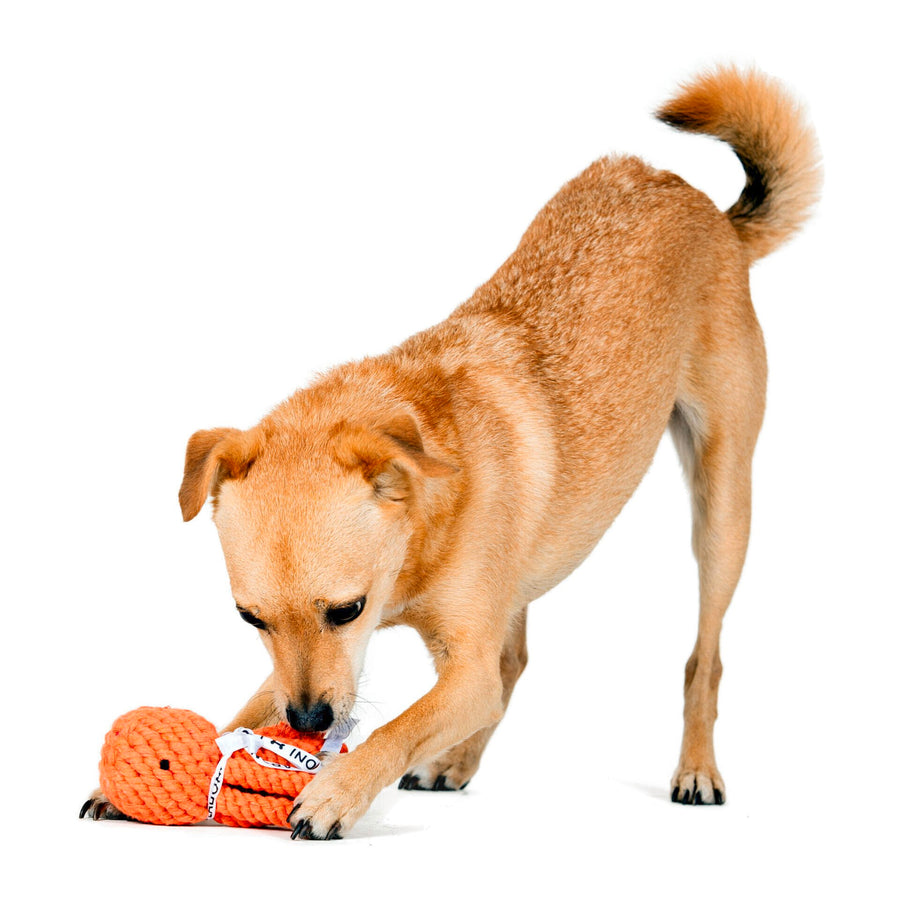 Thaddäus Tintenfisch Seilspielzeug - Hund Orange 13x7x7 cm