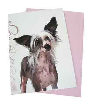 Dog Design Klappkarten von Tigerherz