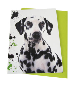 Dog Design Klappkarten von Tigerherz