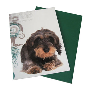 Dog Design Klappkarten von Tigerherz