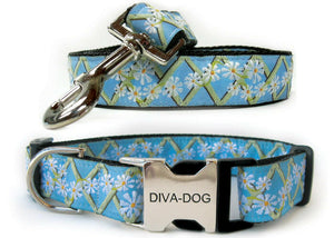 DIVA DOG Set Daisy