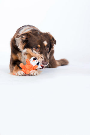 Timothy Tiger Seilspielzeug - Hund Orange 17x7x20 cm