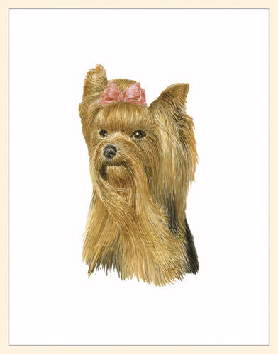 Briefkarte Yorkshire Terrier