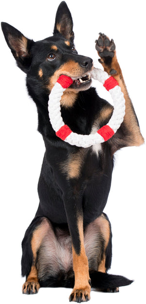 Rita Rettungsring Seilspielzeug - Hund Rot 18x18x3 cm