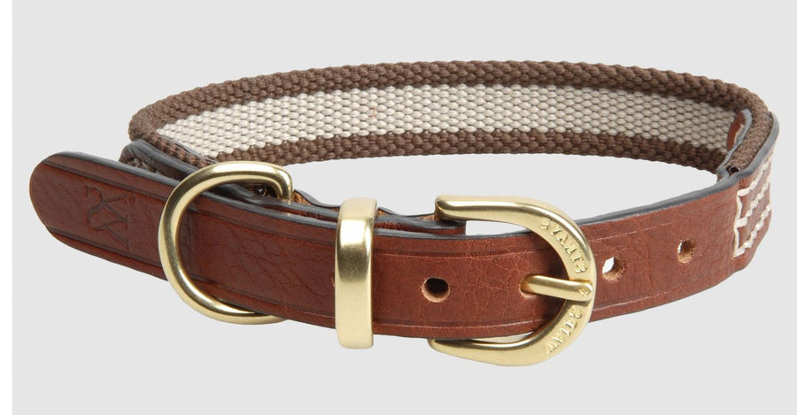 Waifs & Strays Halsband Webbing Tan