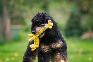 Gretchen Giraffe Seilspielzeug - Hund Gelb 23x12x3 cm