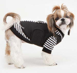 Puppia Twosome Hoodie