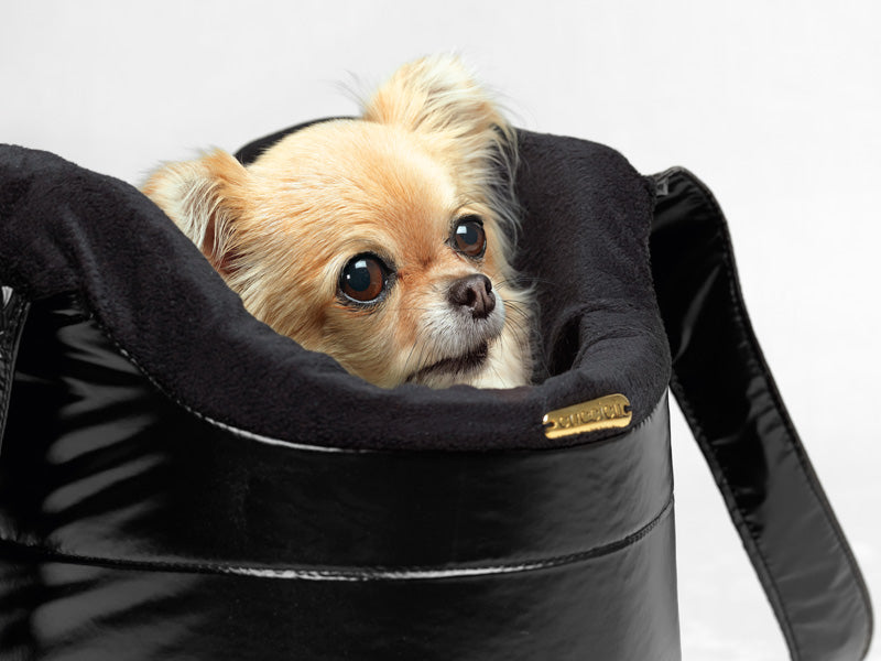 Hundetasche Sascha Bag