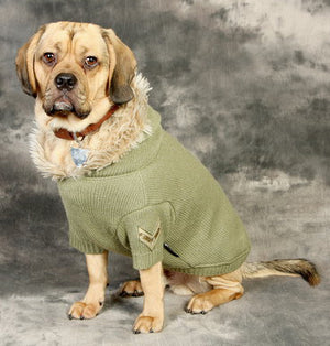 Petsonality &#8211; Hundepullover Glamour Mission