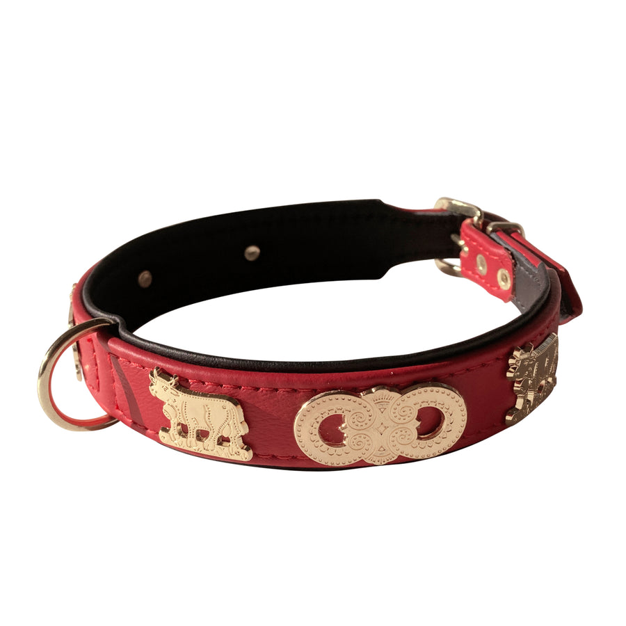 Lederhalsband hund mit appenzeller motiven