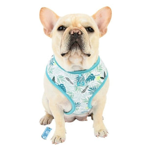 Puppia Botanical Harness A - Softgeschirr Gemustert Hellblau