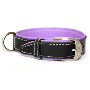 Wolters Terranova Fettleder Halsband + Leine im Set, Farbe Schwarz/Himbeer