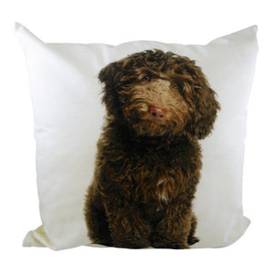 Dekokissen Labradoodle - hundeleben-exklusiv