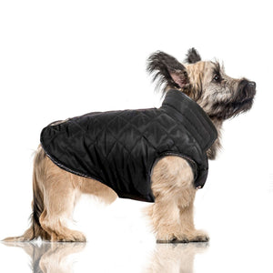 Milk&Pepper Hundemantel / Wende-Hundemantel Graham