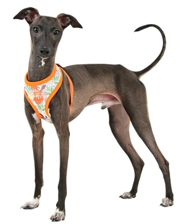 Puppia Botanical Harness A - Softgeschirr Gemustert Orange