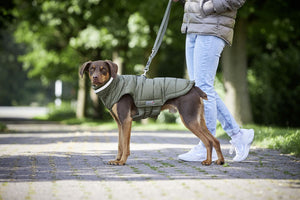 Wolters Steppjacke Cosy Taupe