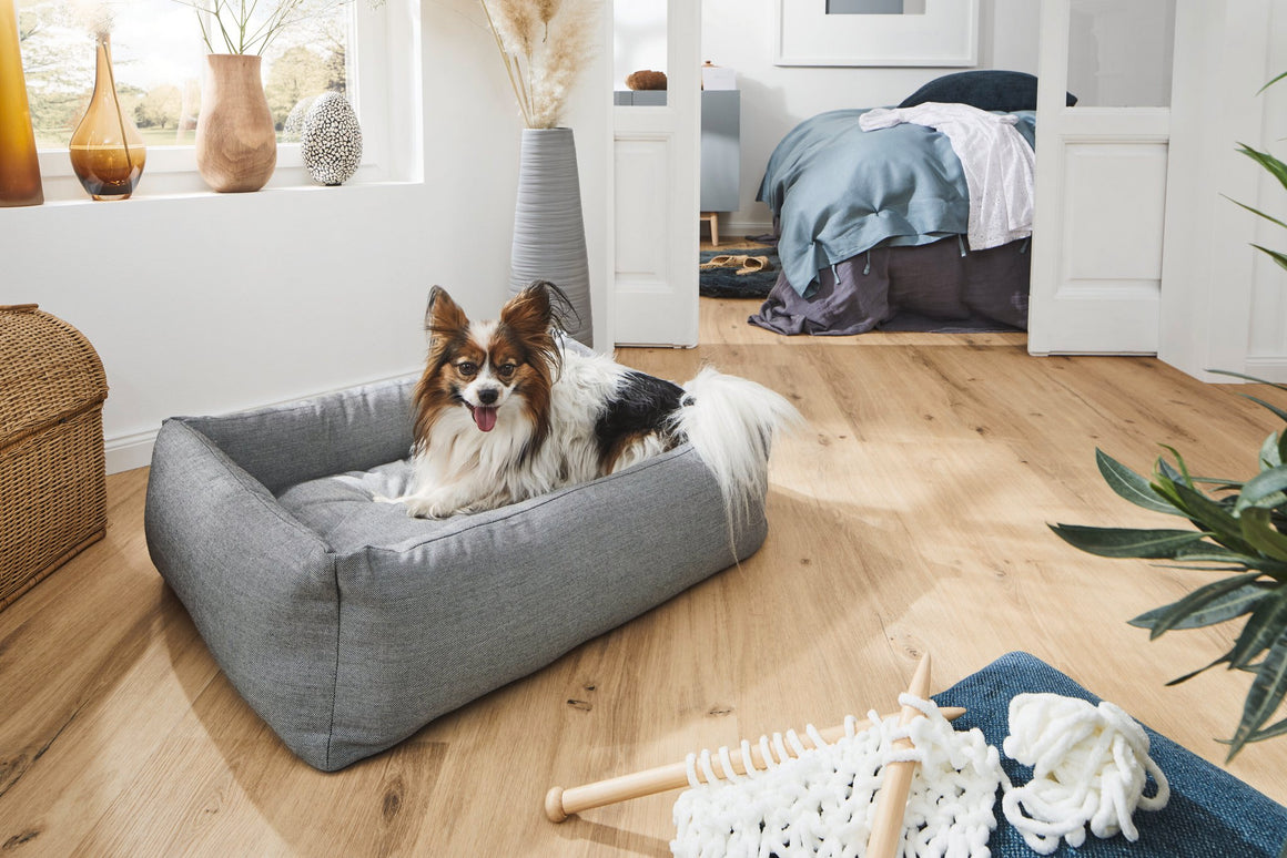 Klassisches Hundebett SMOOTH – glatt für drinnen und draußen