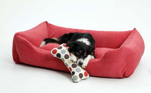 DOGS IN THE CITY - Boxbed Madison - Rot - hundeleben-exklusiv