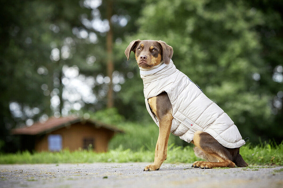 Wolters Steppjacke Cosy Taupe